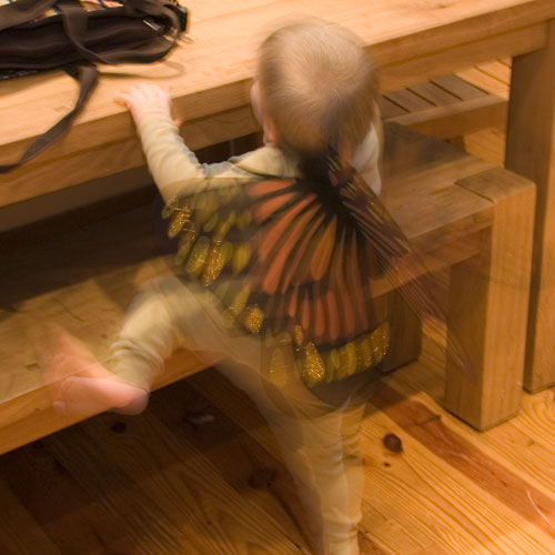 Butterflies and laundry