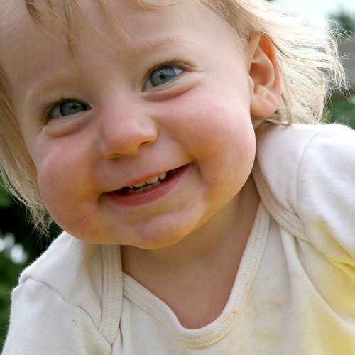 Daily allotment of cute