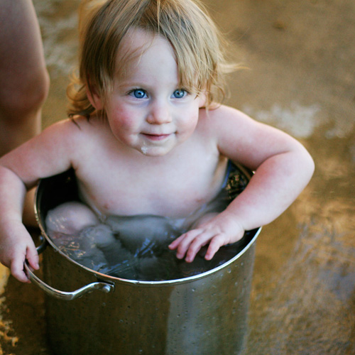 Has anyone seen my new pot?