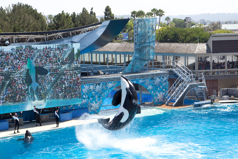 Sea World