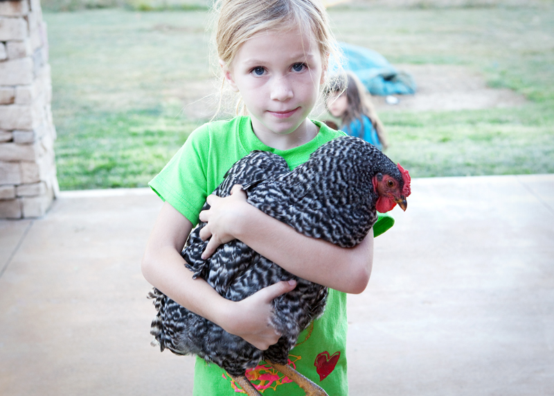 Girls and chickens