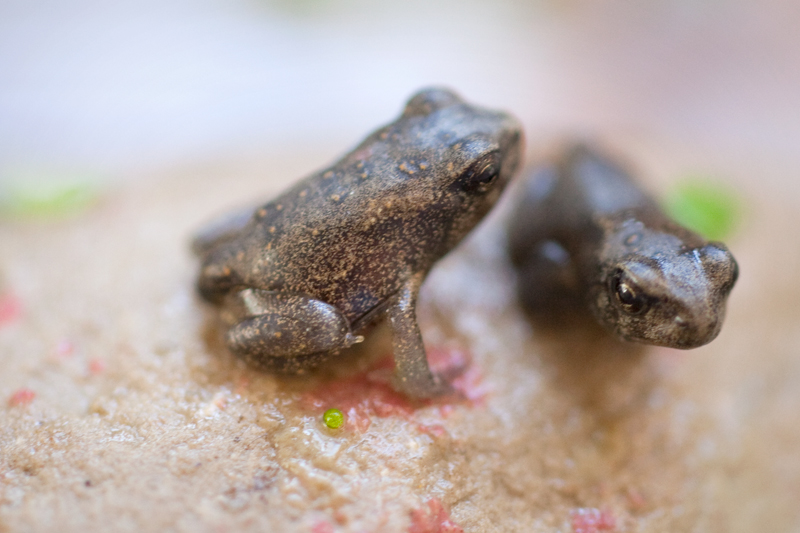 Happy Mother’s Day