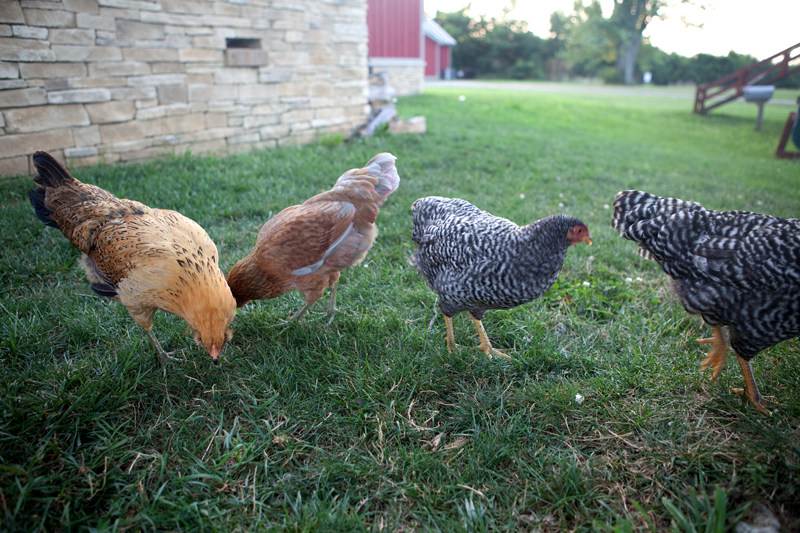 And then there were four