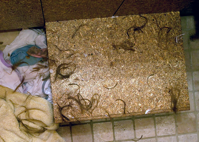 Well, hello, reality.