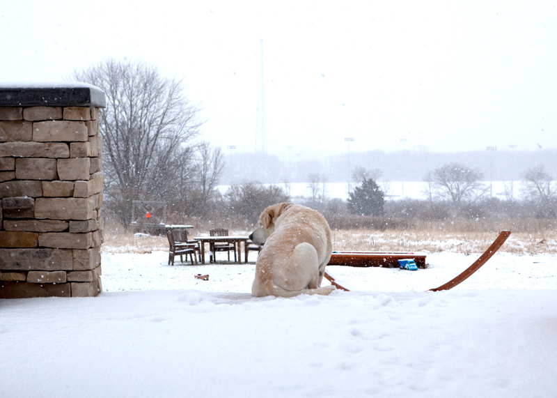 Someone is enjoying the snow.