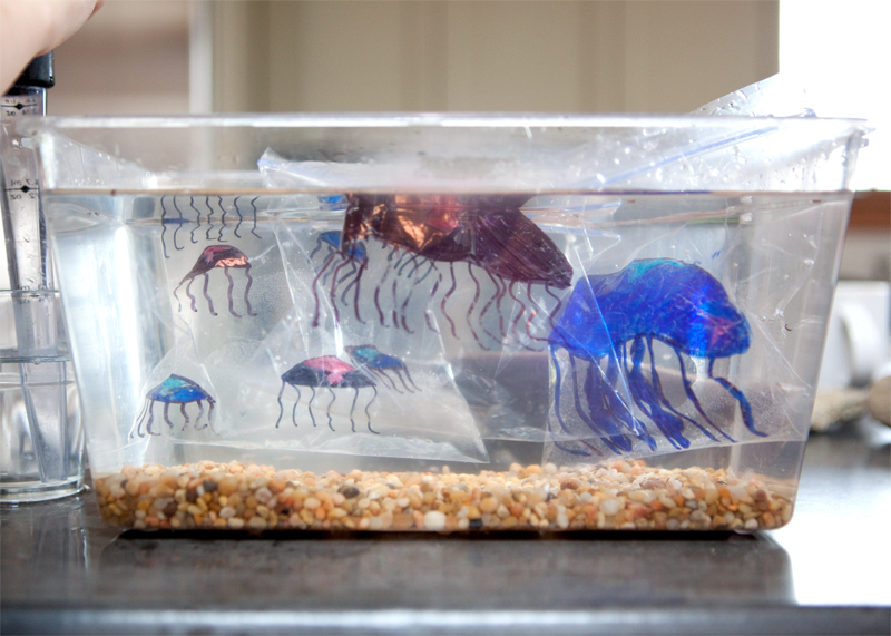 We are clearly hibernating