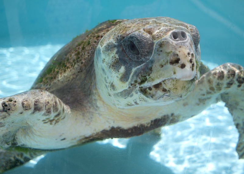 Vacation: Day 5, part 2