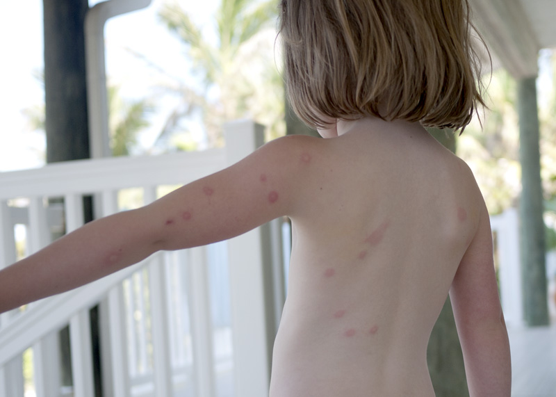 Vacation: Days 3 and 4