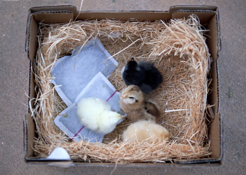 Look what arrived in the post!