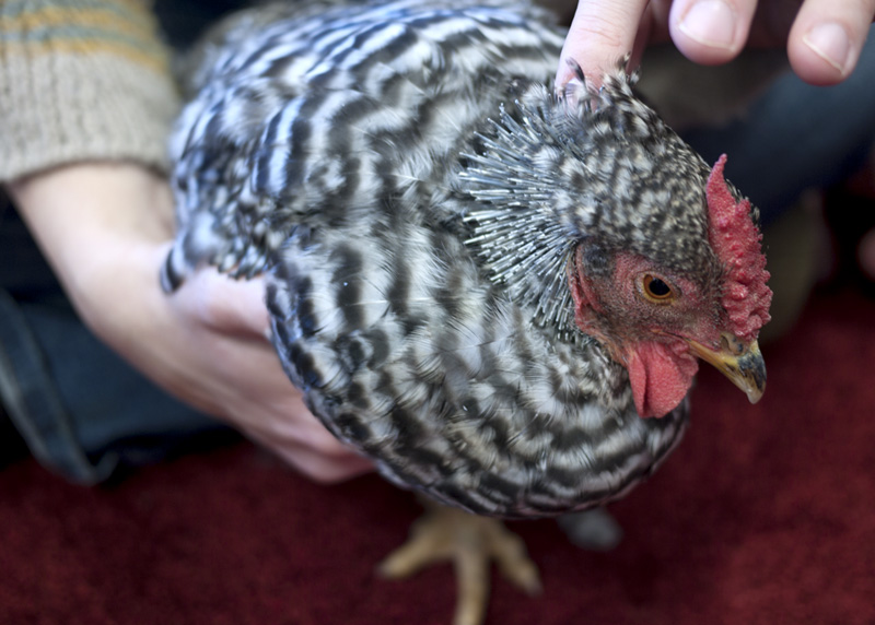 Mosh visits preschool