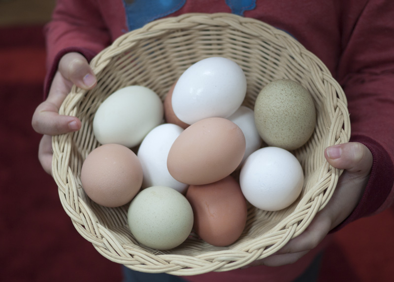 Dr. Martin Luther King, Jr.