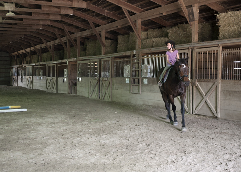 Last day of horse camp